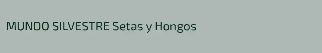 MUNDO SILVESTRE Setas y Hongos